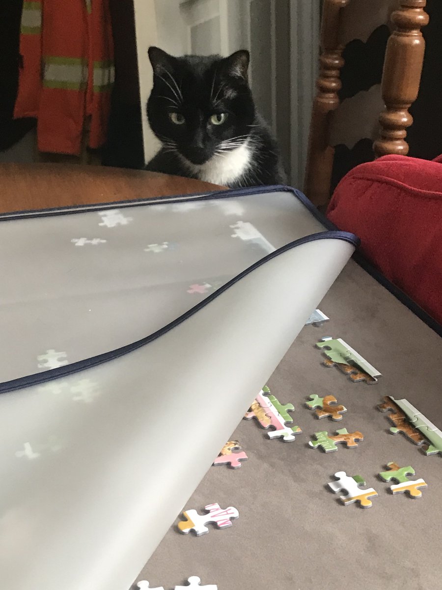 LllBean1's tweet photo. Look at all those little pieces I should push in to the floor! https://t.co/XBRUVPm1eJ