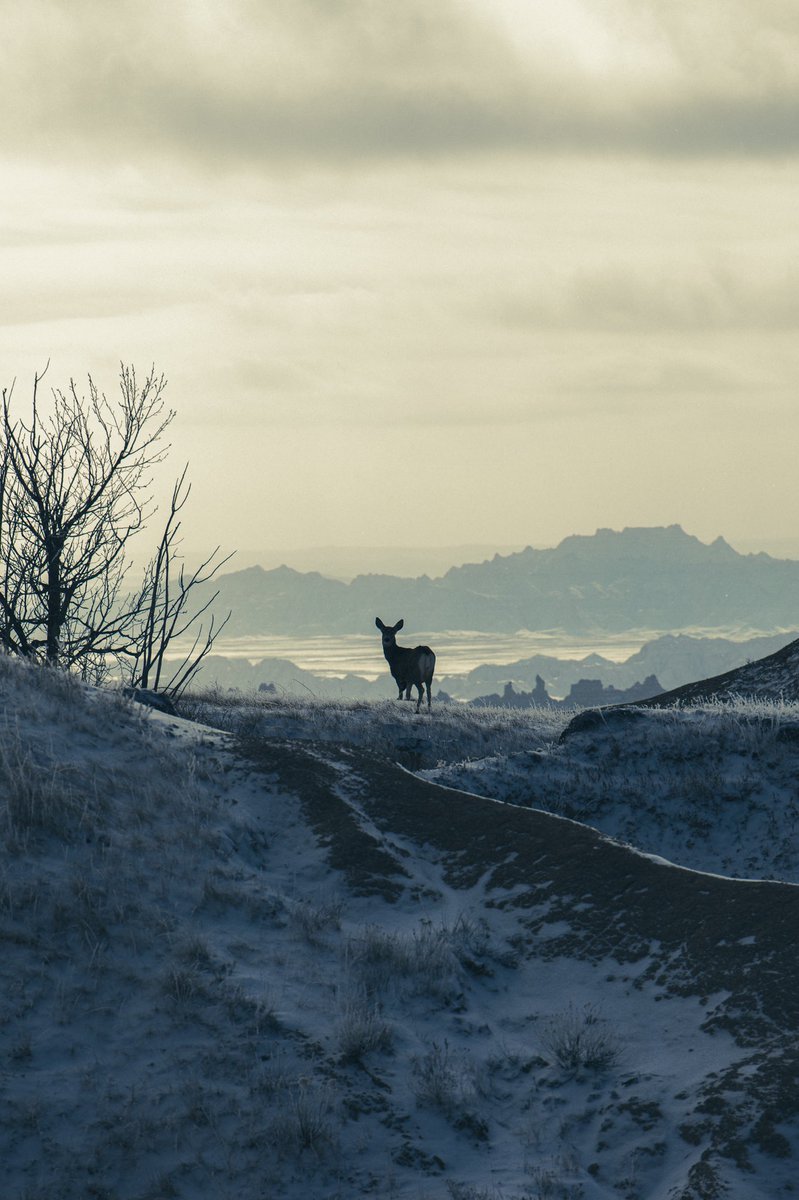 Soulcrate's tweet photo. Good morning from South Dakota! https://t.co/dhpo5vTKdp