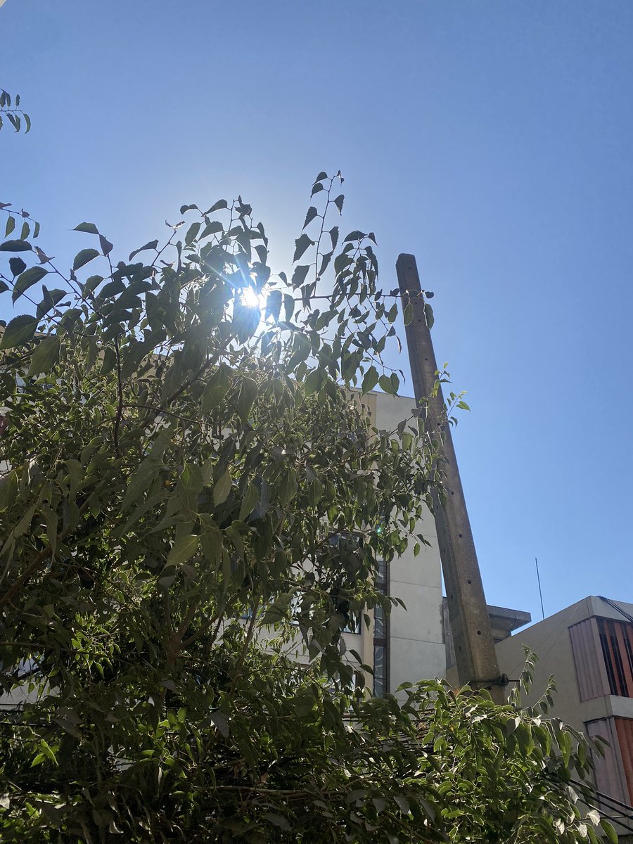 Domingo que lindo día en santiago ya con presente nuevo vamos que se puede con mucho corazón hay que ayudar a la gente presi…