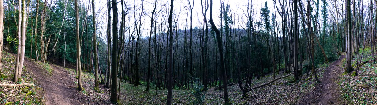 Caro1ine_Martin's tweet photo. A little run around my new local ’hood. A far cry from the hustle and bustle of the Harbourside… and nowhere near as flat! #woodland #quarry #running #runningtrails #offroadrunning #offroadrunner #trailrunning #veganrunners #veganrunnersuk #veganhealth #forestrunning https://t.co/LCLh0lNvUx