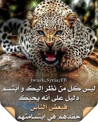 طبعا شي اكيد