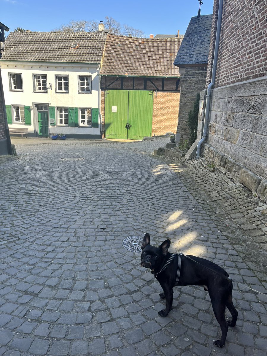 LemmyBulldog's tweet photo. Is das schön heute! #Liedberg https://t.co/UPJdO2L1LE