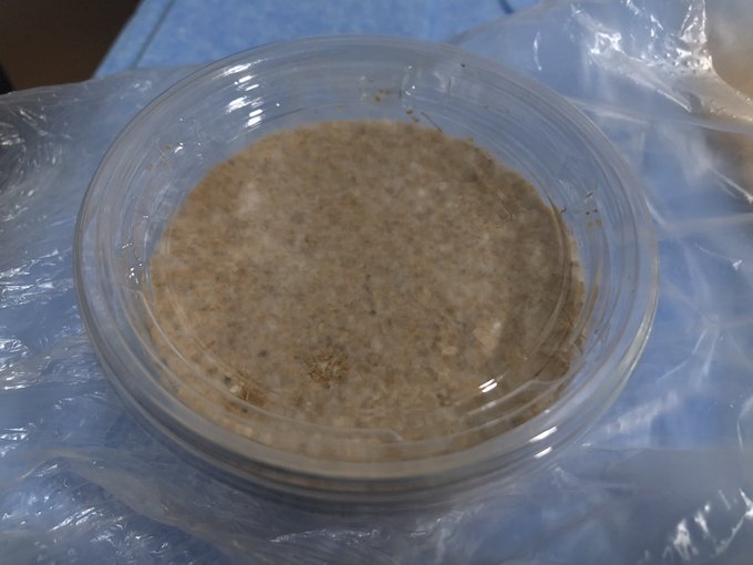 プリンカップのtwitterイラスト検索結果