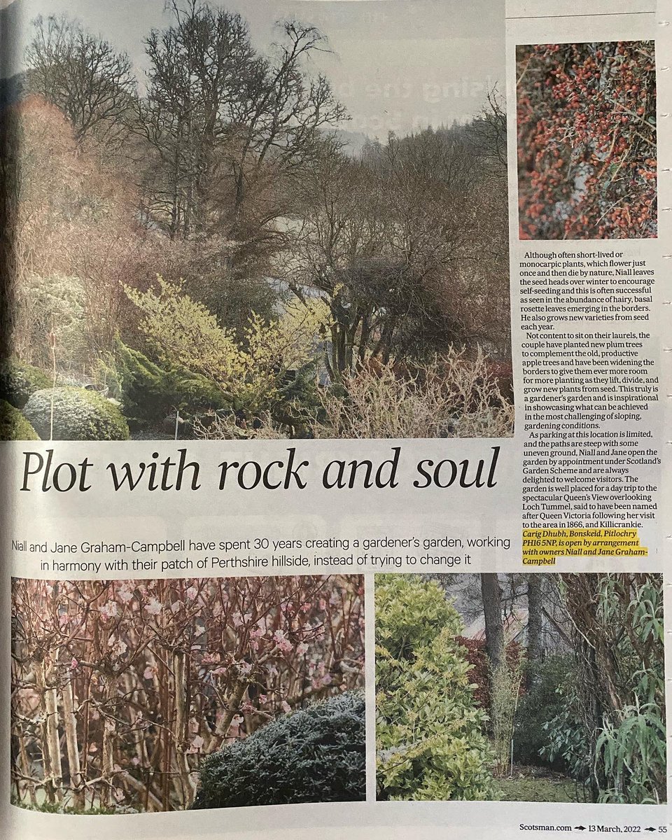 pinkwheelbarrow's tweet photo. A great Scottish garden to visit is Carig Dhubh. Find out more about this garden, open by appointment under Scotland’s Garden Scheme, in today’s @scotonsunday. Images by Ray Cox. https://t.co/duTJShJoM2