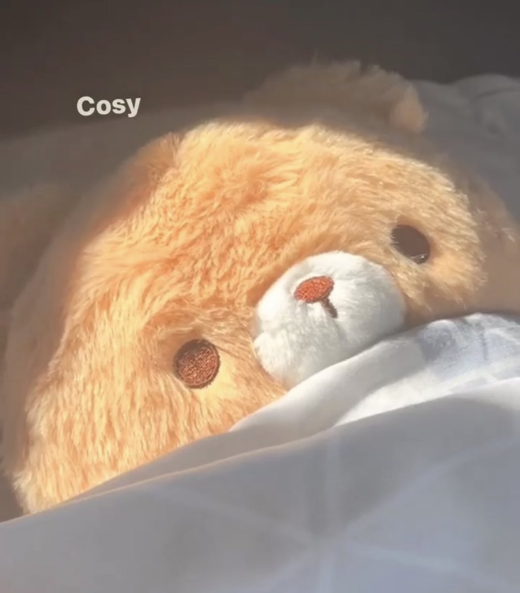 pigeoncrafts's tweet photo. do u care him?🥺 https://t.co/UREGtqvw1e