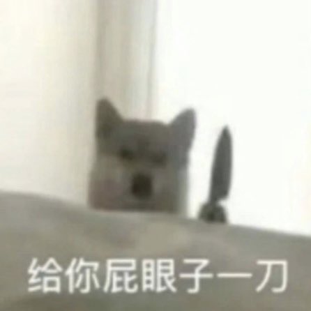 @DoubleFakeCute 可是我有感觉想放屁了一定要准备好才能放（比如把腿曲起来容易放 https://t.co/ym3ZDyyy9q