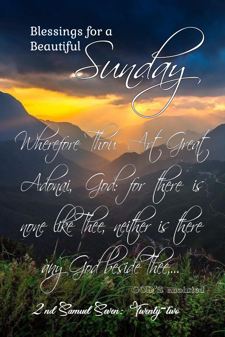 BigPlayRay1031's tweet photo. VERSE OF THE DAY 
🔥👑2nd SAMUEL👑🔥
{Sh'mu'el Bet}
Seven: Twenty-two 
May your Blessings be Multiplied! https://t.co/rSBSARr8RH