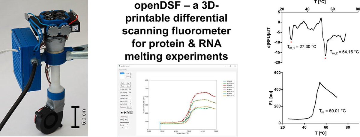 MWNautilus's tweet photo. #openDSF: A low-cost, #ESP32-based #OpenSource #3Dprinted differential scanning #fluorometer for #protein &amp; #RNA melting experiments - useful in #DrugDiscovery, #biochemistry, etc.:

https://t.co/ZXuhUS2MNF
#DIYbio #biohacking #DSF #TSF #hackerspace #LabInstrumentation https://t.co/4XMhXov6ge