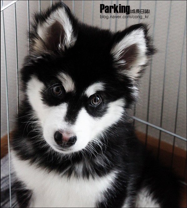 ユチョンさんが大好きなものを贈ろうのtwitterリアルタイム検索結果 Meyou ミーユー