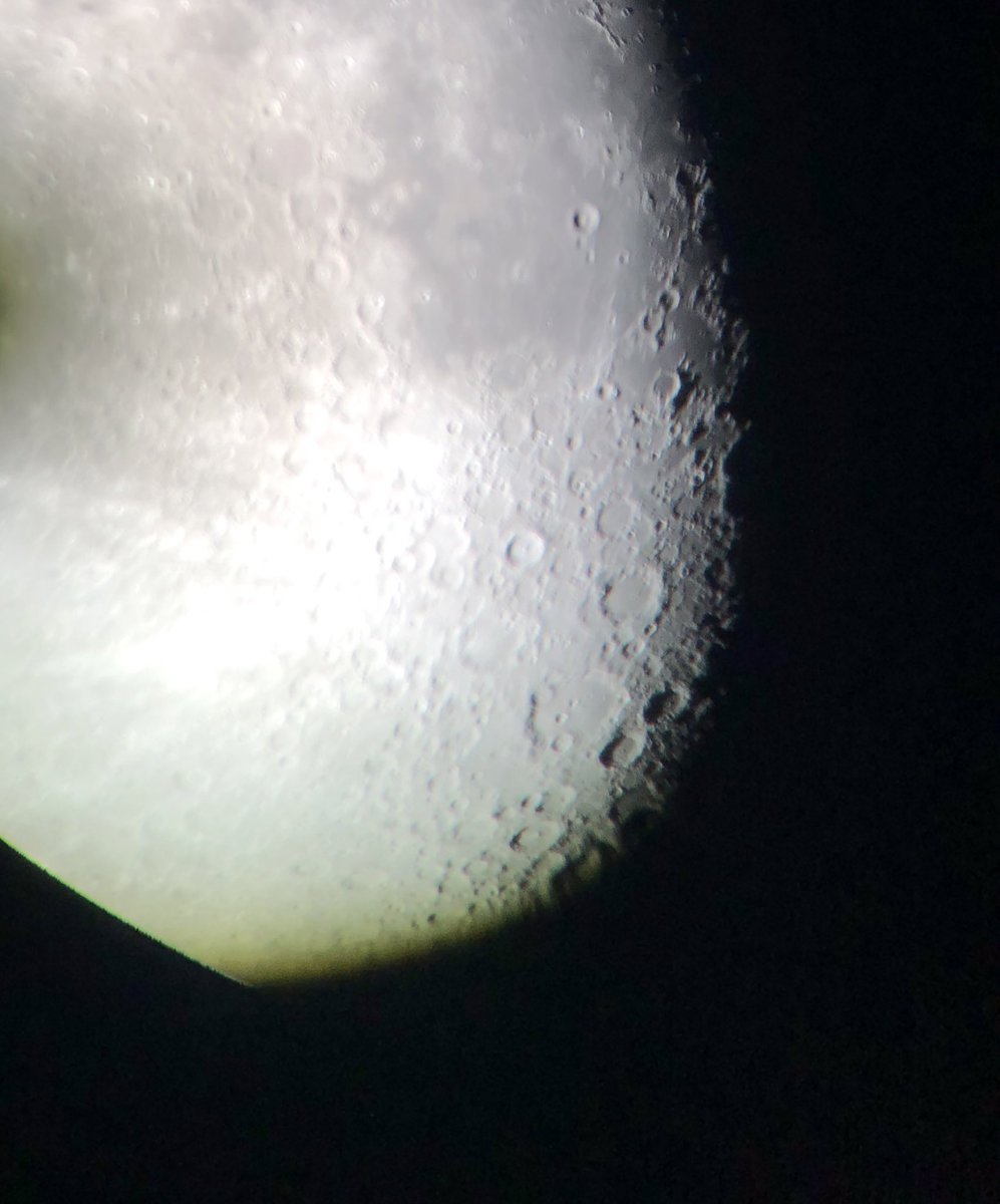 Stacy McAnulty tweet media