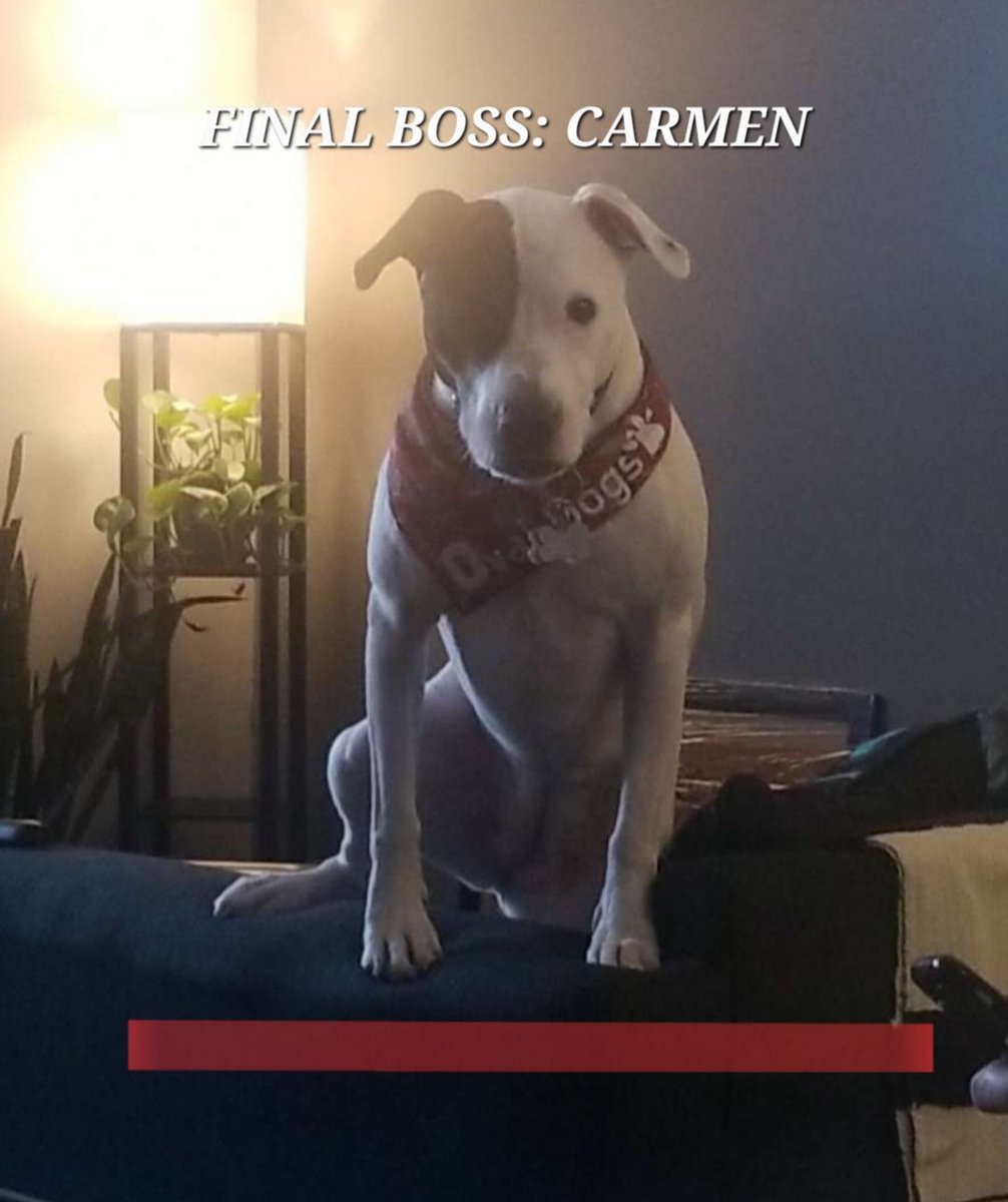 Reece3s's tweet photo. I have become Puppy Poster. Distributor of cute.

...also Elden Ring boss. https://t.co/NPVWEPWO6Y