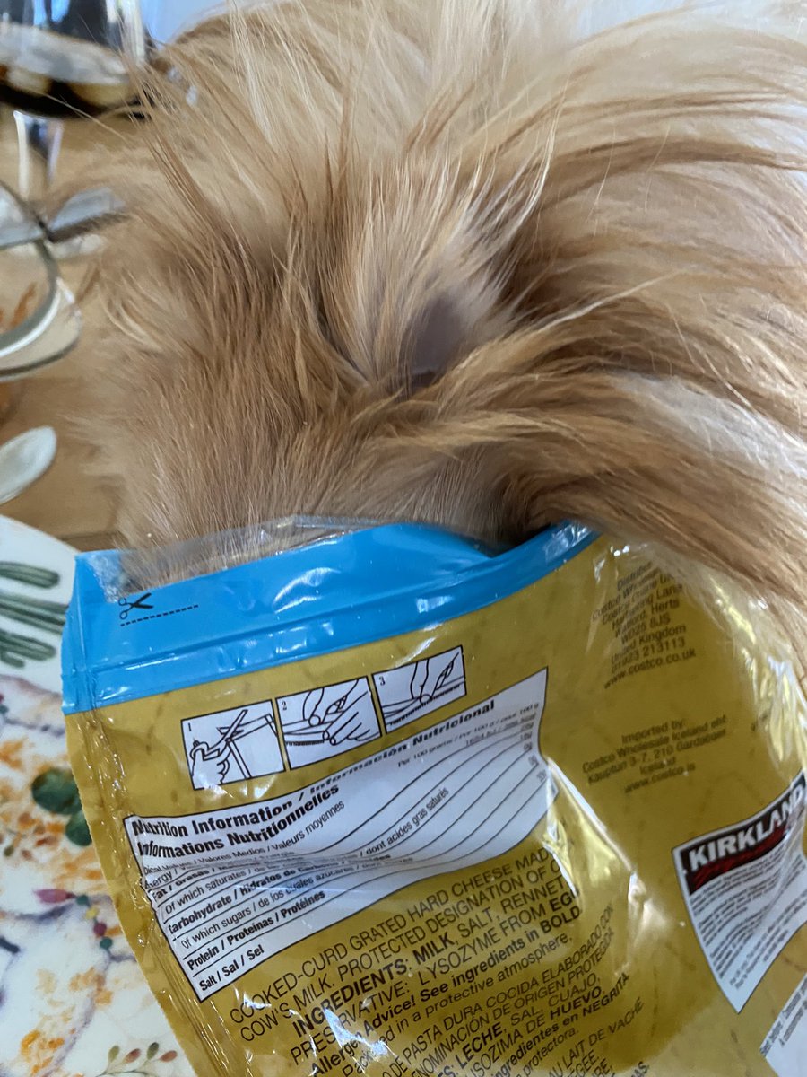 Iba a por el queso rallado y…