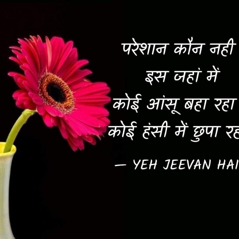 priyamalviy24 tweet picture