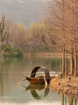 Try it on the detached stage