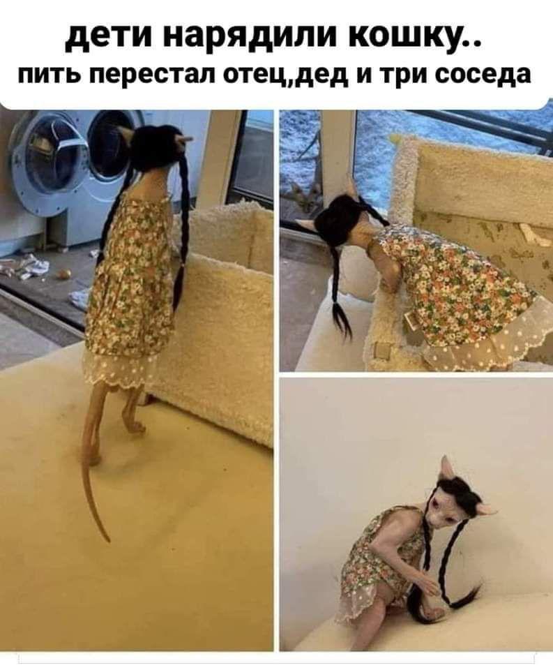 kakos138's tweet photo. @SobolLubov https://t.co/79ry3E2kZz