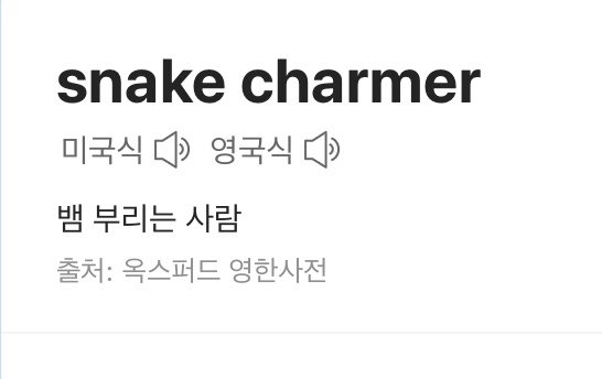 charmer
1. 매력 있는[매력을 발휘하는] 사람
참고어: snake charmer

snake charmer
=뱀 부리는 사람