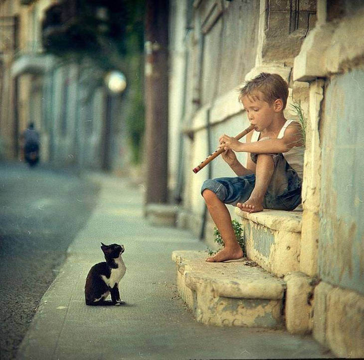 HumbleFlow's tweet photo. 10 Most Powerful Photos Ever Taken:

1. https://t.co/9eSPljPpud