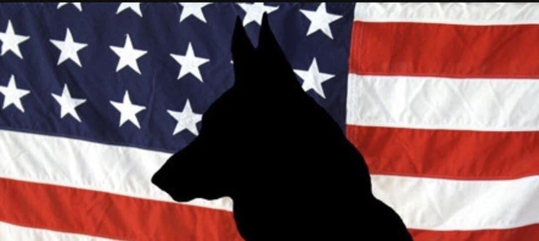 GoteamK9's tweet photo. K9 Veterans Day 

#service #courage #warriordogs #dogsofwar #militarydogs #dogsoffreedom #specialbreed #selfless #loyal #fearless #warriors #intelligent #bravery #military https://t.co/OSieOFLoRf