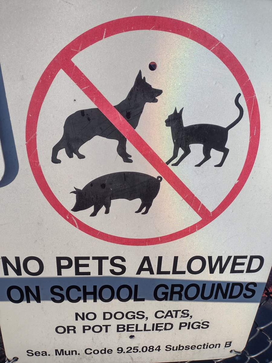 Cali Roll Ultimate tweet media