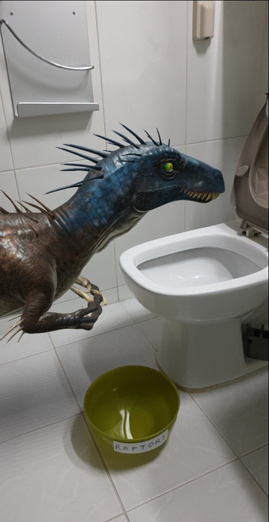 chrisblimey's tweet photo. Raptor Drink 101
What to drink?

Coffee/Tea - NO
Milk - NO (surprisingly)
Coke/7Up - NO
Water - YES (Prefer basin to bowl)
Alcohol - Not Recommended (They like it but wriggle on their backs. Difficult to get up again. Moody next day.)

VERDICT: Give them water!😂
@dinoverseNFT https://t.co/vKVSFOI43v