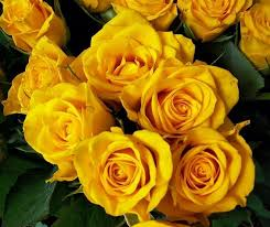 just_two3 tweet picture