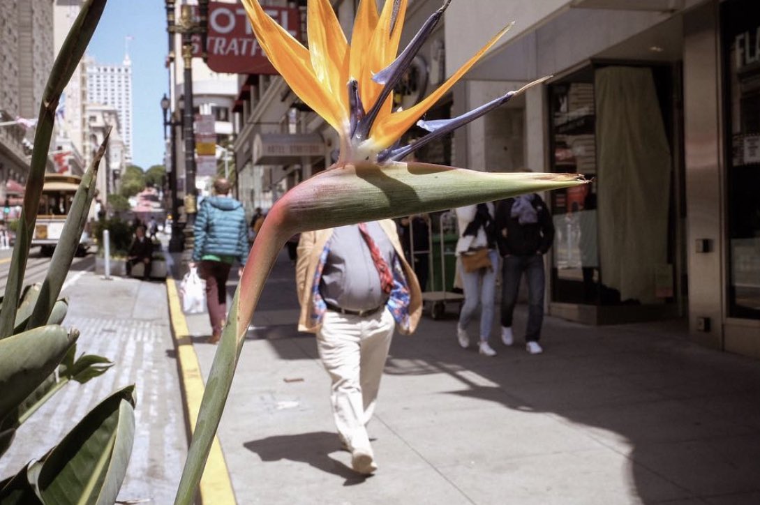 Gm to all my juxtapositioners!