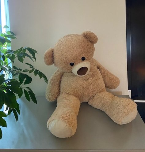 Hoi, 13-jarige. Je zocht samen met je beer een fijn plekje in het Maximapark en je vertelde een bezorgde mevrouw verdrietig te zijn. We weten niet wat er aan de hand was maar je vergat je beer. Kom je 'm even ophalen aan het politiebureau De Meern?