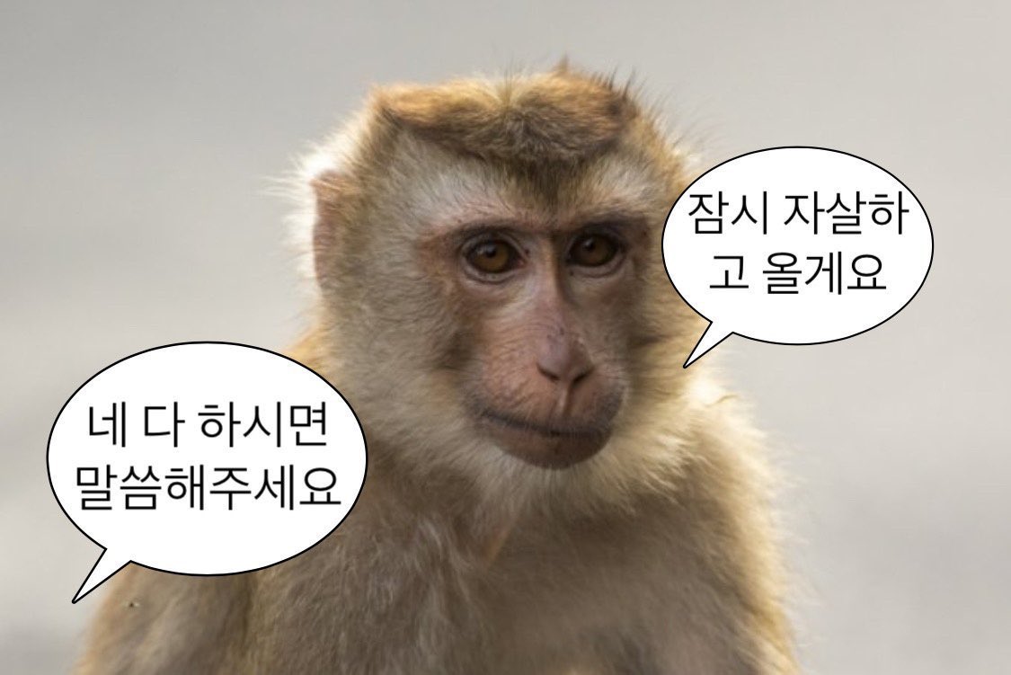 달이❤️ (@dal2_e) on Twitter photo 