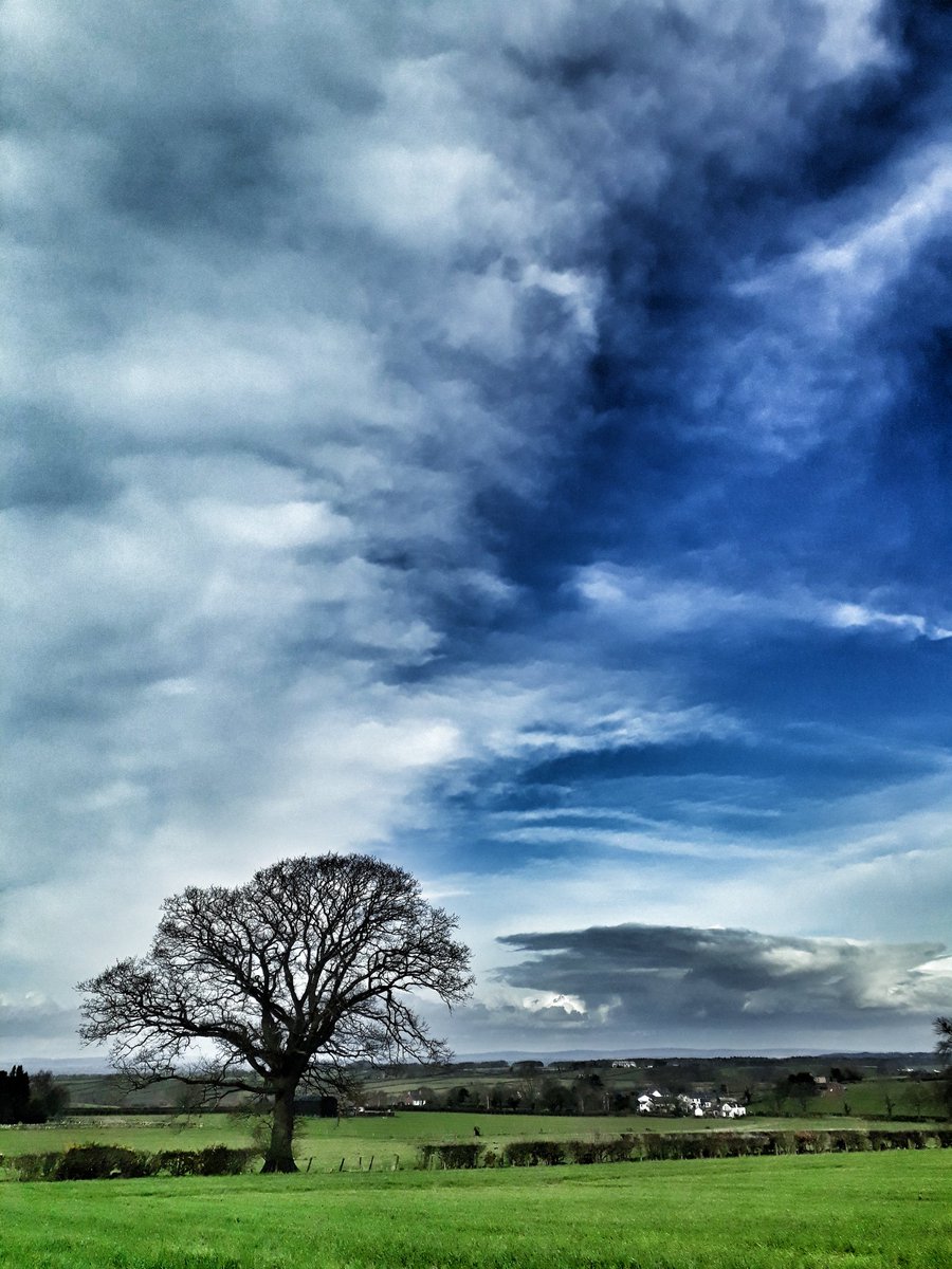📸 Above Cotehill
#photography #skyandcloud 
#nature