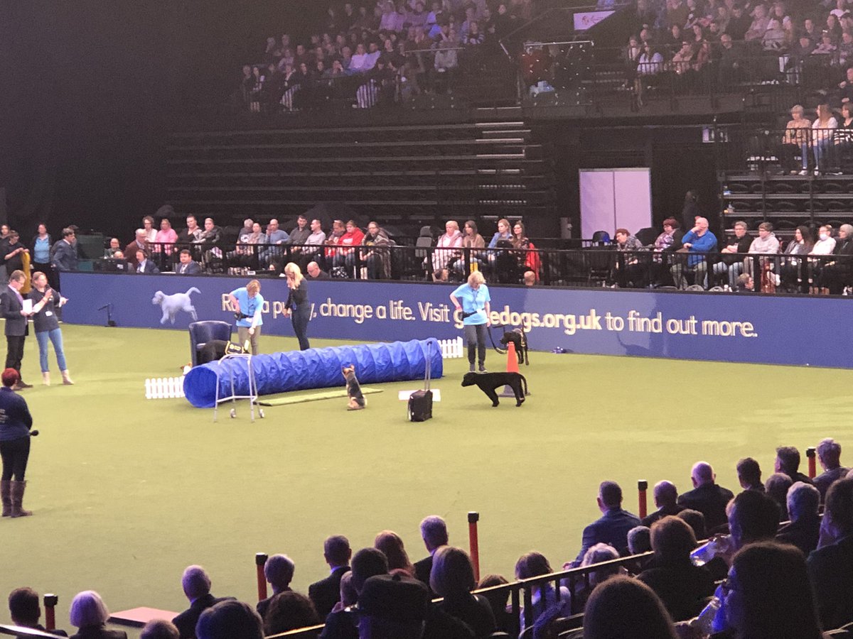 Tom Wright tweet media