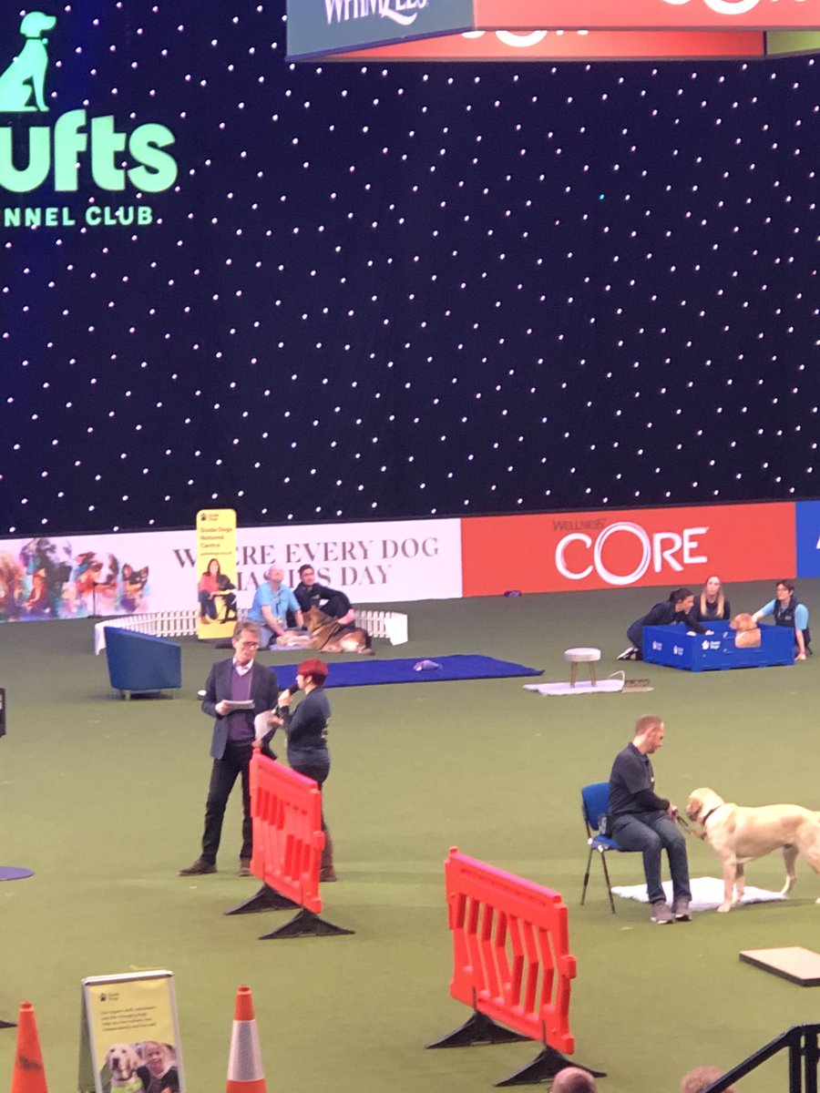 Tom Wright tweet media