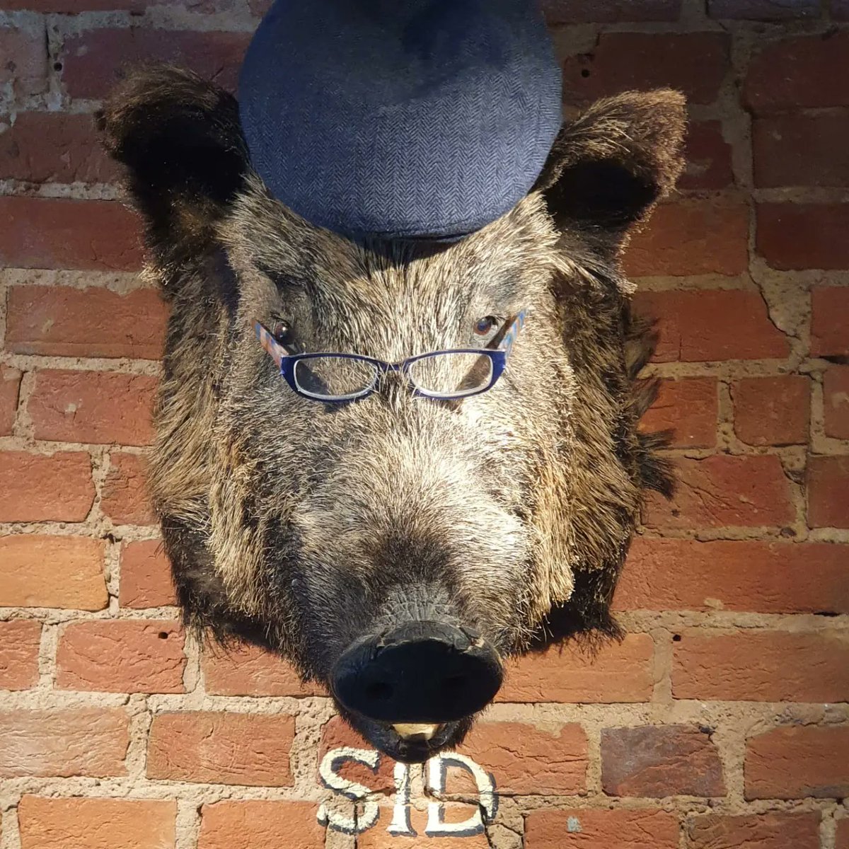 linkstavern1's tweet photo. We are due to re-open on Wednesday, once the final #finishingtouches have been made. #sidthepig is still in prime position and has been keeping the workmen on their toes π
@Fullers @FullersKitchen #refurbtime #reopeningsoon #lickofpaint #newlooklinkstavern #liphook https://t.co/yZ6iEHkaLH