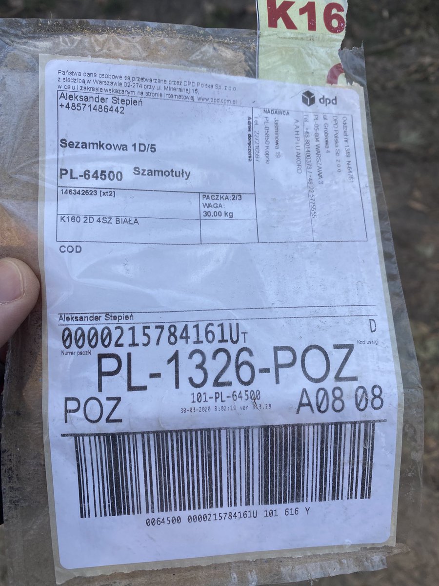 Wycieczka rowerowa i takie znakeziska w lesie pod Szamotułami. Ultra HD 58 cali.