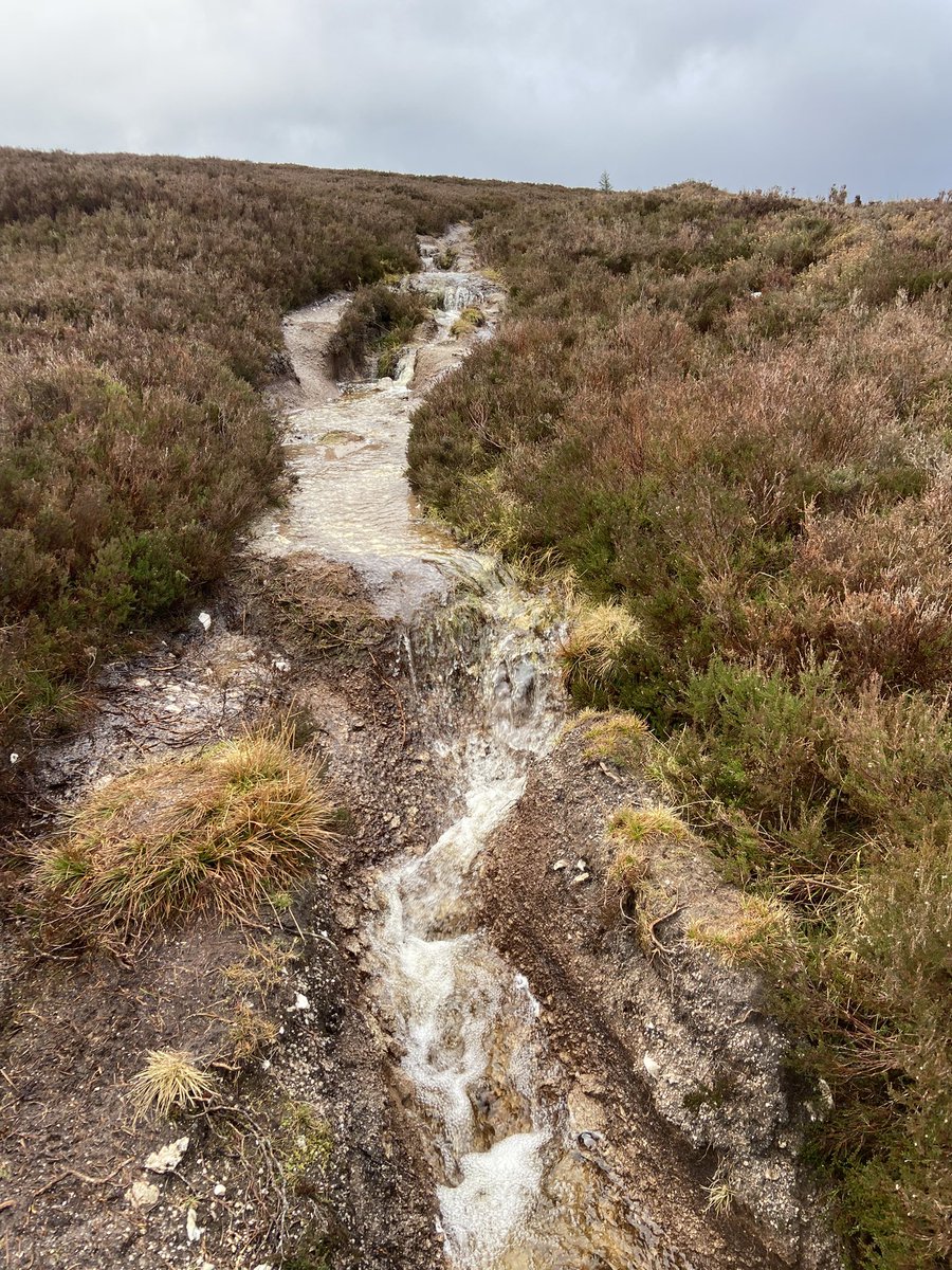 IrishRunningGir's tweet photo. Today's trail run was a real mixed bag of terrain and weather 😊
🌧 ☀️ 💨 🌈
Hailstorms were the best🤣
17 miles across #Hellfire #Cruagh #Tibradden #Masseys #Featherbeds https://t.co/JxELwX6Yvk