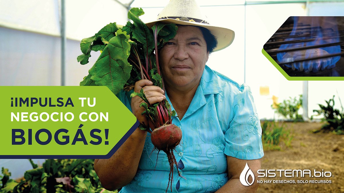 No gastes más en gas LP, ¡mejor invierte en tu negocio! Aprovecha los desechos de tu granja y transfórmalos en energía.

#CreandoValorDelDesecho #Biodigestor