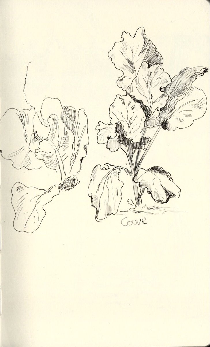 margatrea's tweet photo. A collection of my recent favourite sketchbook drawings ✨ https://t.co/6CW5Icn99J