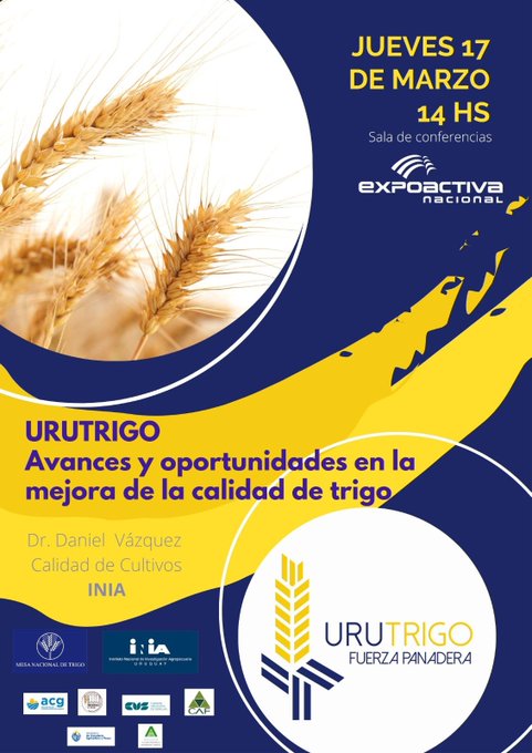 UruTrigo tweet media