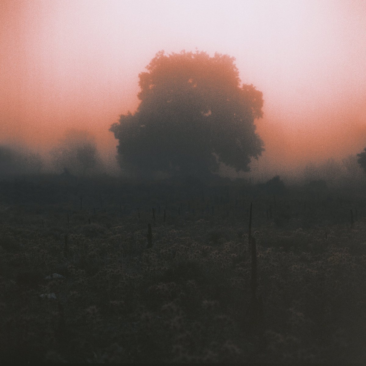 readblackriver's tweet photo. The Interval of Unreason by Ioanna Sakellaraki
@urbanmethexis 

Read: https://t.co/lr1lpgFtxo

#BlackRiverIssue02 https://t.co/H3SMW3YOxj