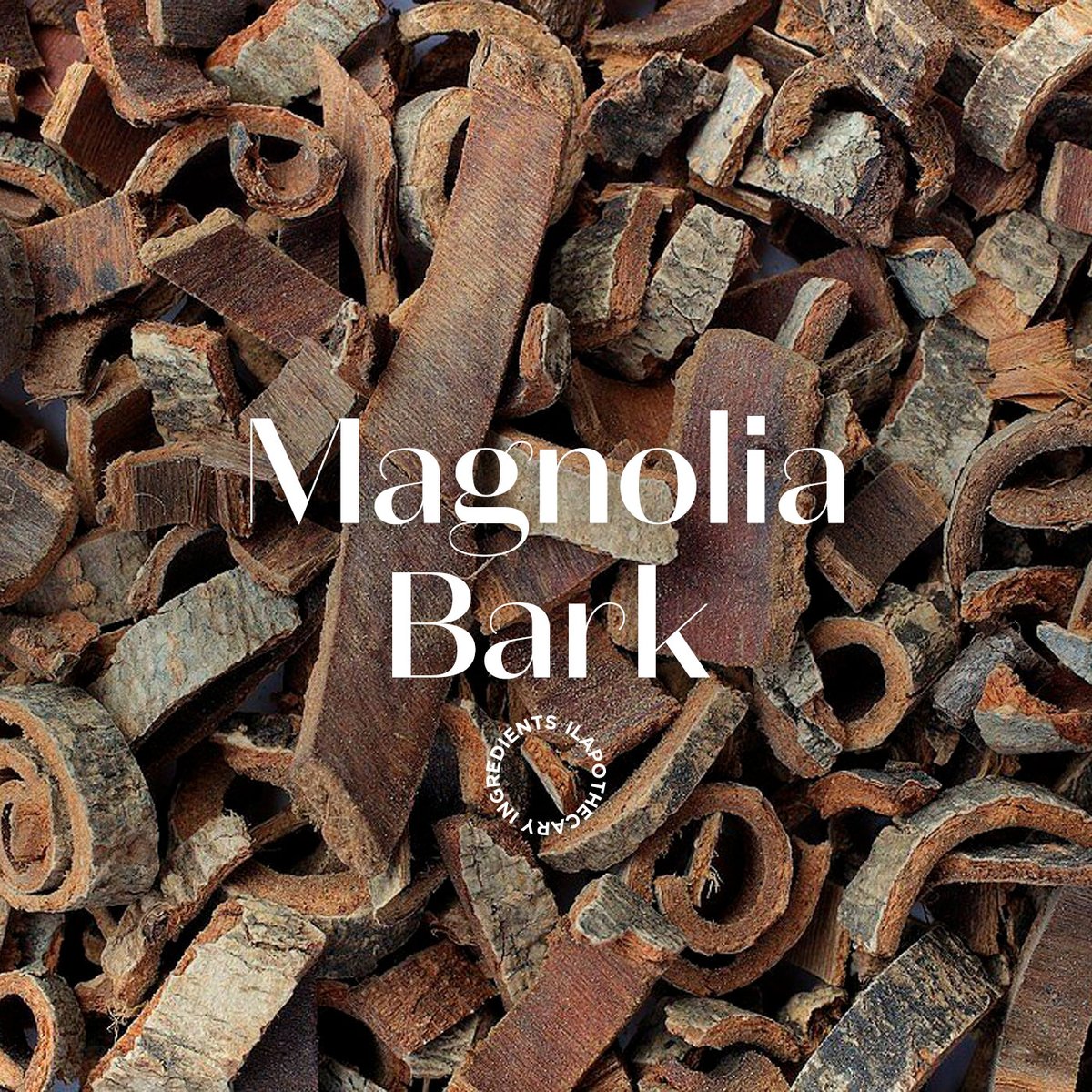 ilapothecary's tweet photo. Get to know some of the powerful, all-natural ingredients that enrich our #WarmingAntiBreakoutFaceMask:
✔️Black Cumin: Nourishing, Stimulating
✔️Magnolia Bark: Warming, Anti-bacterial
✔️ Manuka: Cleansing, Protective
✔️Chaulmoogra: Purifying, Regulating
#ilapothecary https://t.co/lHWIv7sVkk