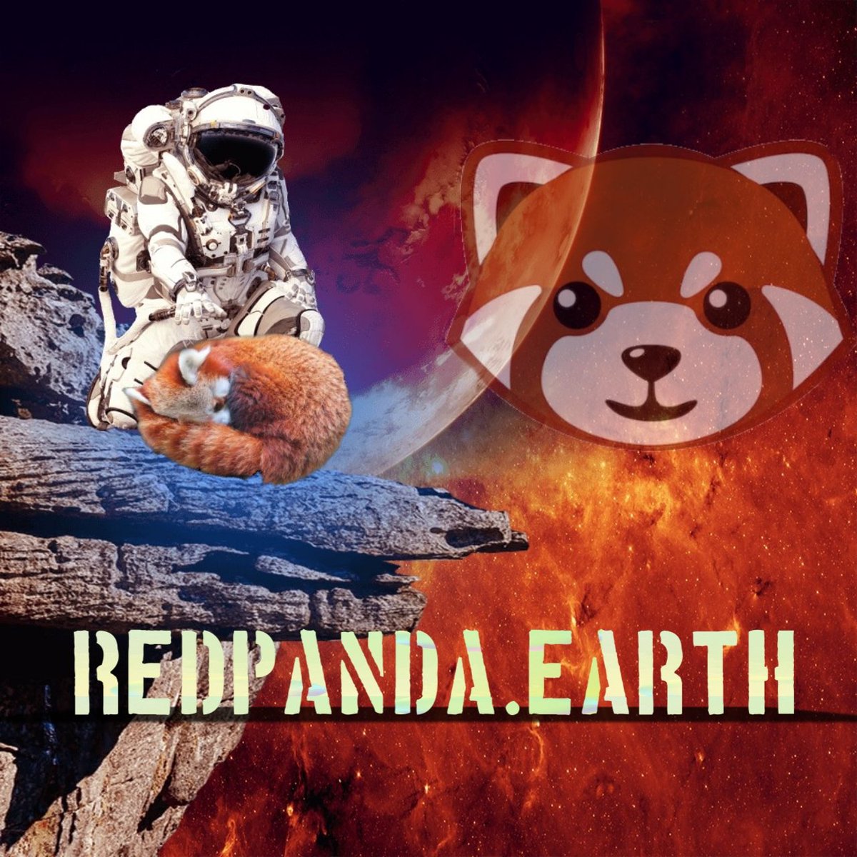 MrSotAman1's tweet photo. What a heck is going on❓
The killing of countless creatures, damaging habitats causing #deforestation 🤦♂️
Have we all gone MAD😩
Luckily https://t.co/OOYSNtYcfK is here to help bandage up the damage that has been already done #TreeMillions
@redpandatoken #redpandatoken #NFT https://t.co/tSZLPgc4ly