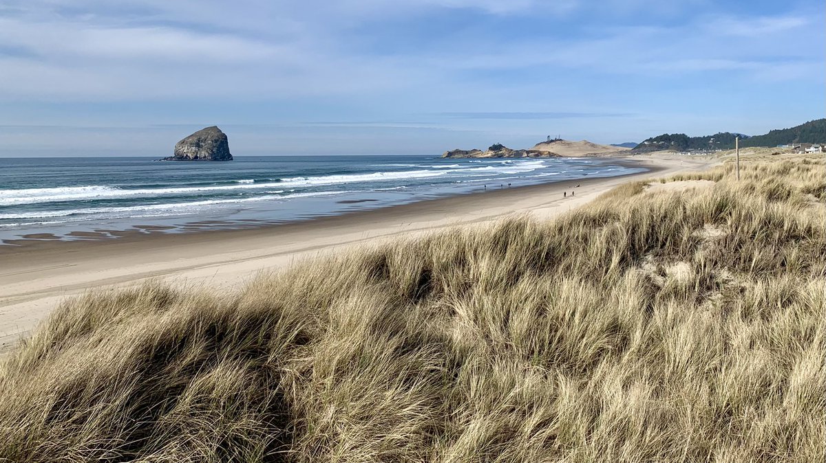 carly_ringer_'s tweet photo. Scenes from a beautiful day of field work in Pacific City, OR last week. 6 months into grad school and it still feels unreal that I get to go to the beach for work! https://t.co/KU6uJ6IDlY