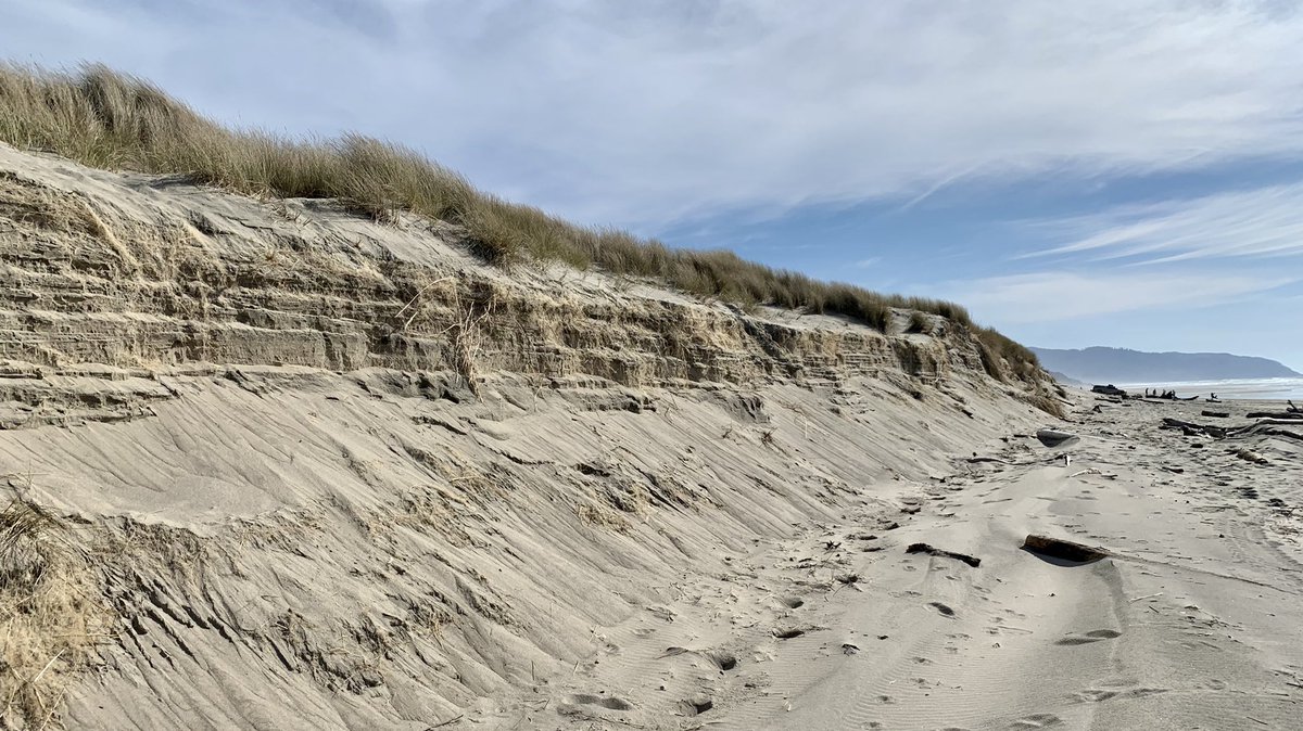 carly_ringer_'s tweet photo. Scenes from a beautiful day of field work in Pacific City, OR last week. 6 months into grad school and it still feels unreal that I get to go to the beach for work! https://t.co/KU6uJ6IDlY
