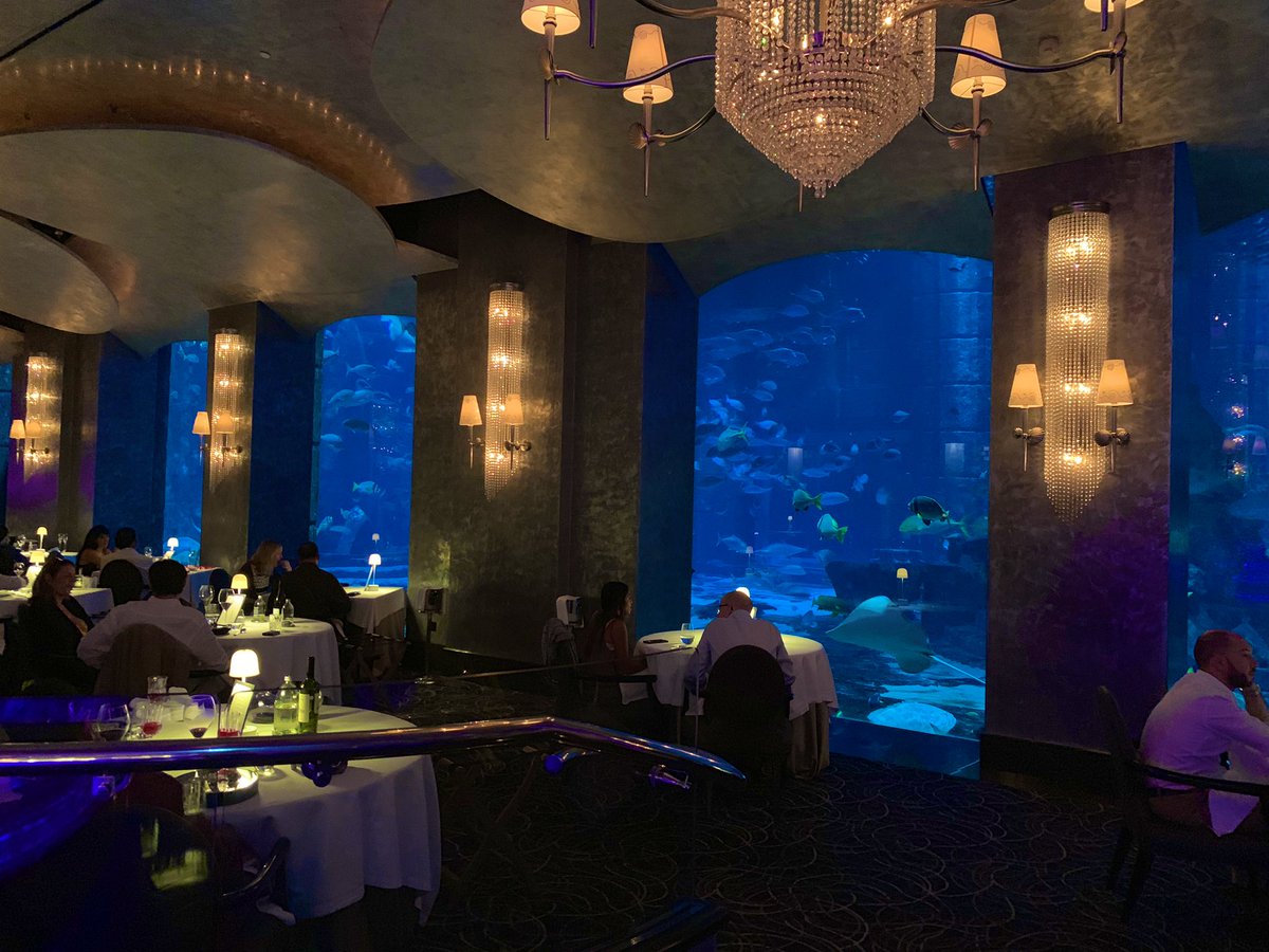Quants_MathBaka's tweet photo. Ossiano Underwater Bar & Restaurant
アトランティスザパーム内にある高級レストラン
海底気分を味わいながら幻想的な空間でお食事を
値段は2人で25万となかなかレベチ
食事時間およそ4時間(人によっては苦行)
https://t.co/dAqQf4wqeE
#Dubai
#ossiano https://t.co/7Ep9n5I4Tv