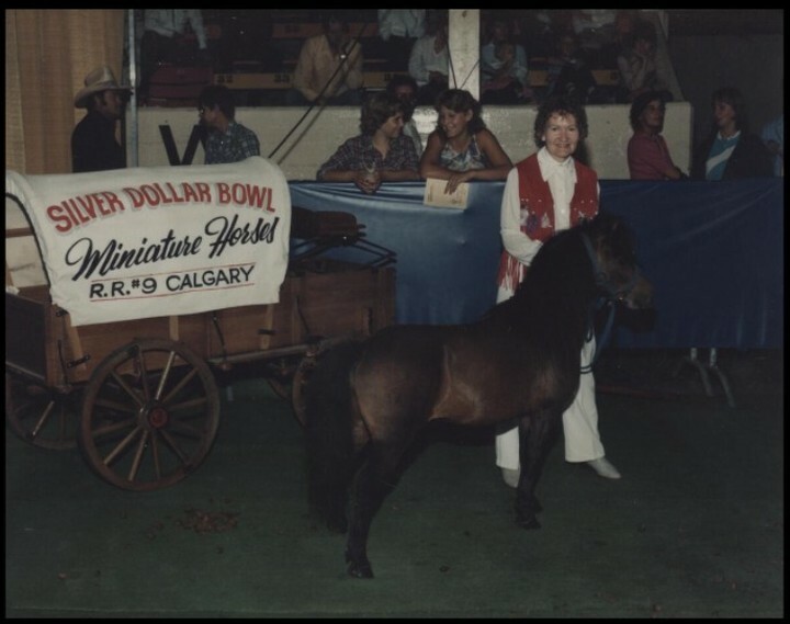 Miniature horse and owner (CU131400). Courtesy of Collection, Libraries and Cultural Resources Digital Collections, University of Calgary
#calgarystampede #stampedeag #miniaturehorseshow #miniaturehorses instagr.am/p/CbDMgmNhVHJ/