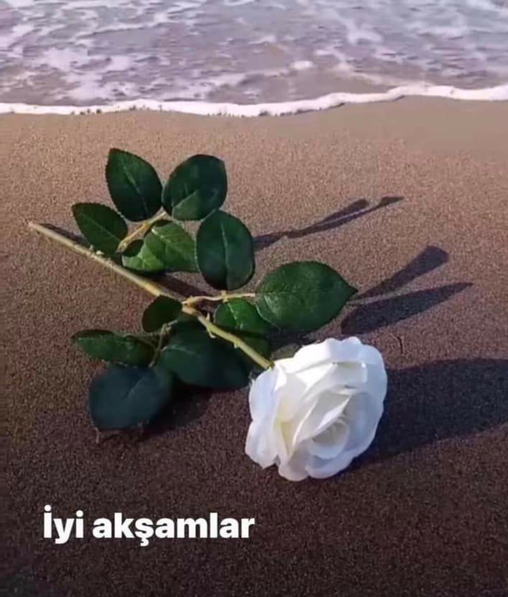 #mete💙💙

🌹🌿Hayırlı 🌹🌿
🌹🌿Mutlu Akşamlar 🌿🌹
Güzelliklerle dolu bir Akşam diliyorum
🌿🌹Sevenleriniz ve sevdikleriniz ile birlikte🌹🌿
🌿꧁🌹꧂ Mutlu Huzurlu Akşamlar꧁🌹꧂💙💙🍃☕🌹
