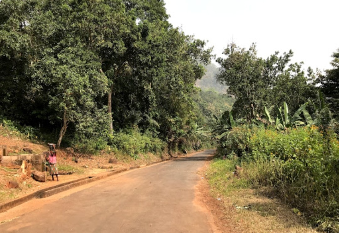 Belle vue depuis le pic d’Agou, le mont le plus élevé du #Togo (986 m)