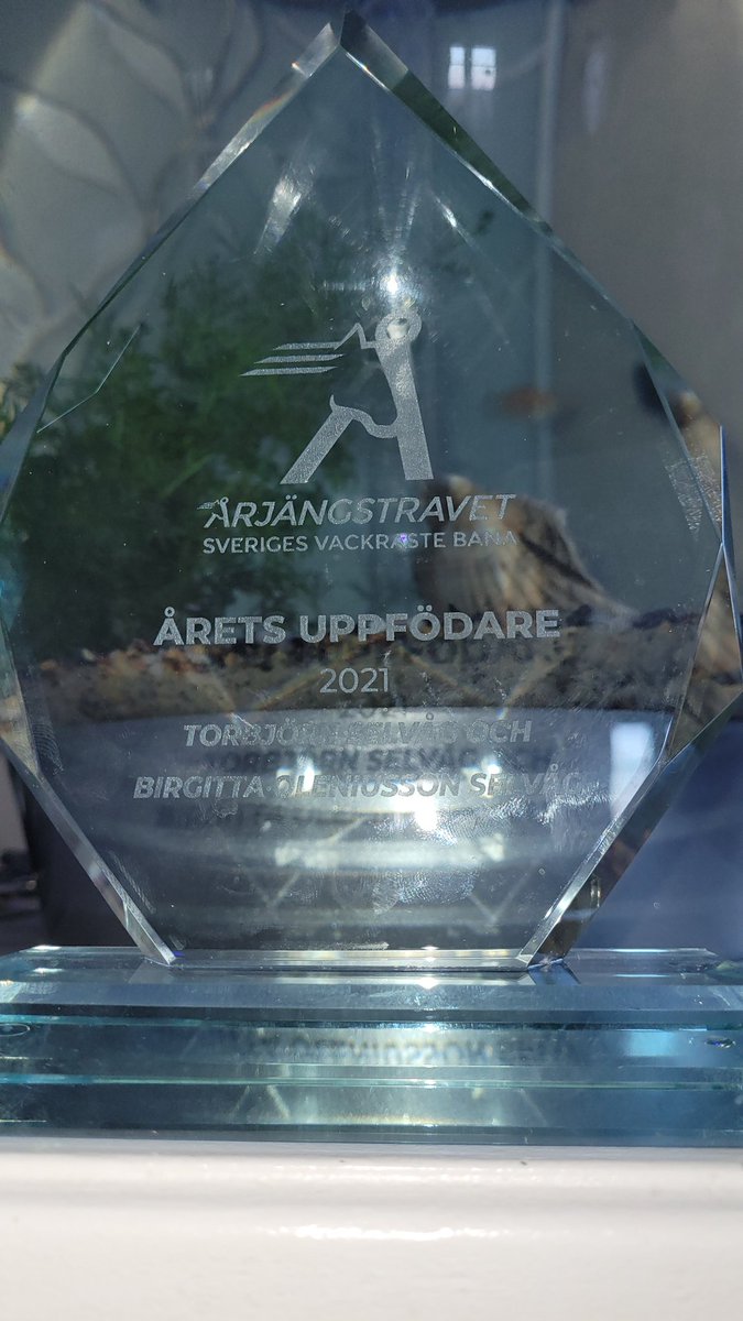 HICKOTHEFABULOUS (@hickodelicious) on Twitter photo 