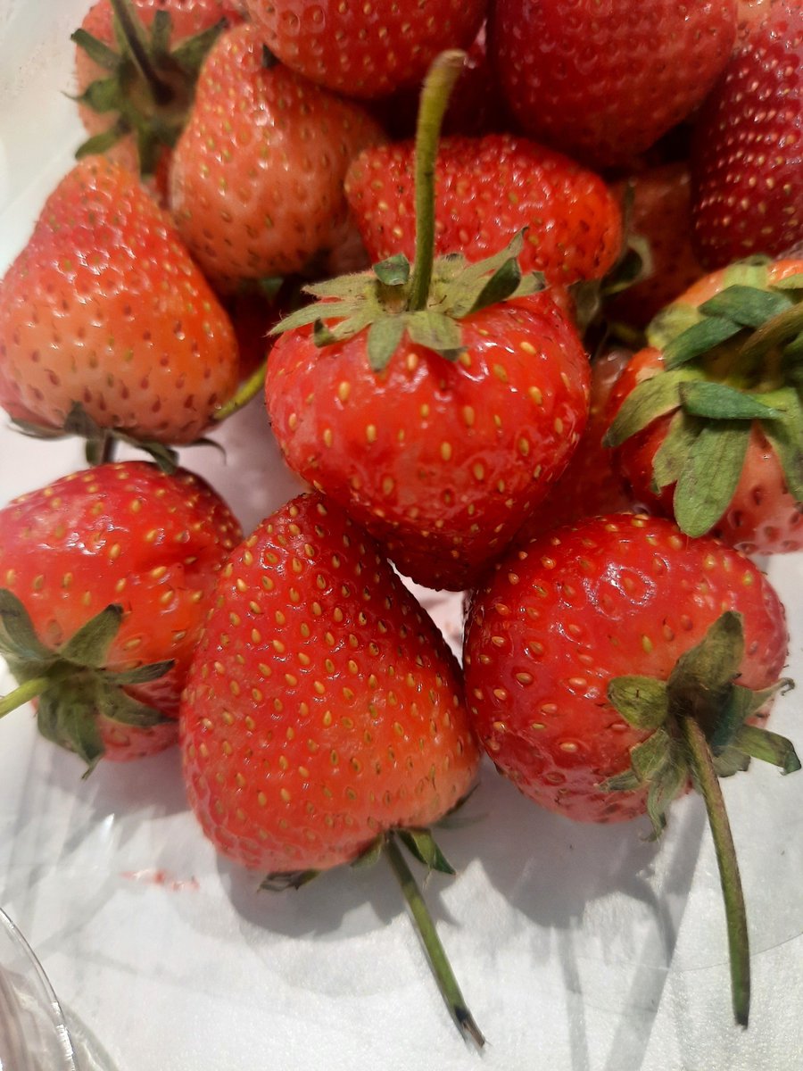 🌻🐝 tweet media