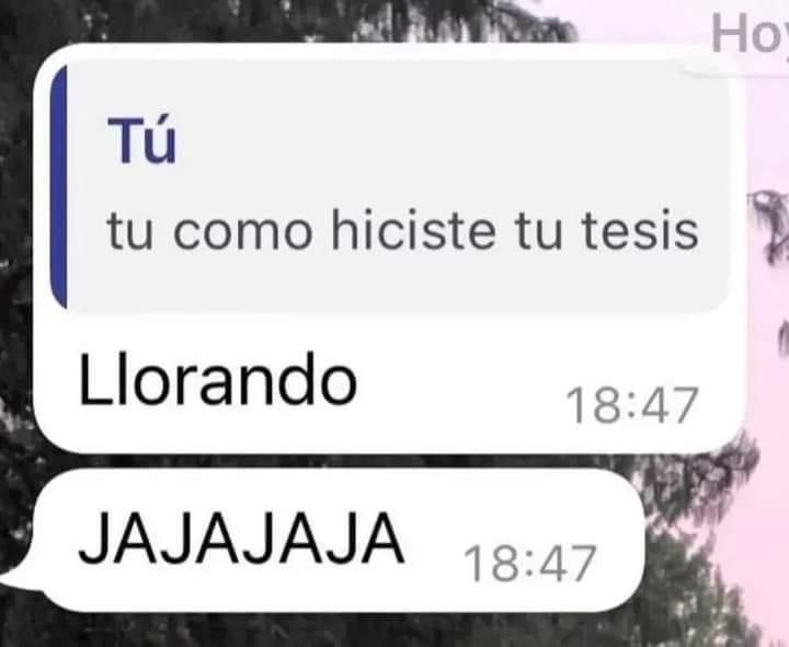 🇲🇽 México Mágico ✨ tweet media