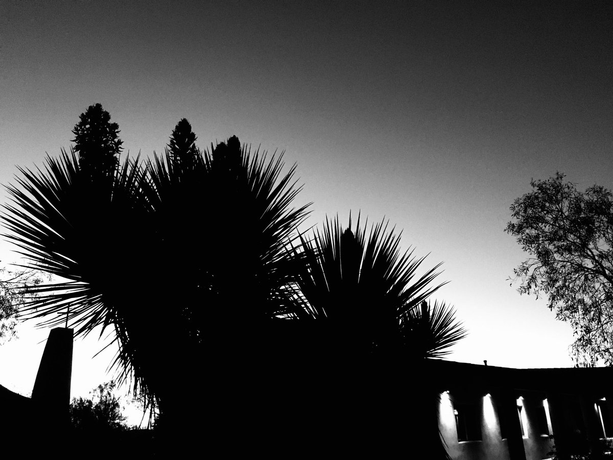 desert nights
#arizona #scottsdale #bnwphotography #monochrome #bnw #nature